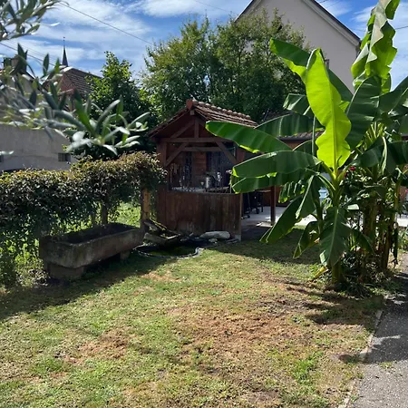 Charmante Maison Alsacienne Proche Europa Park Et Marches De Noel Ohnenheim